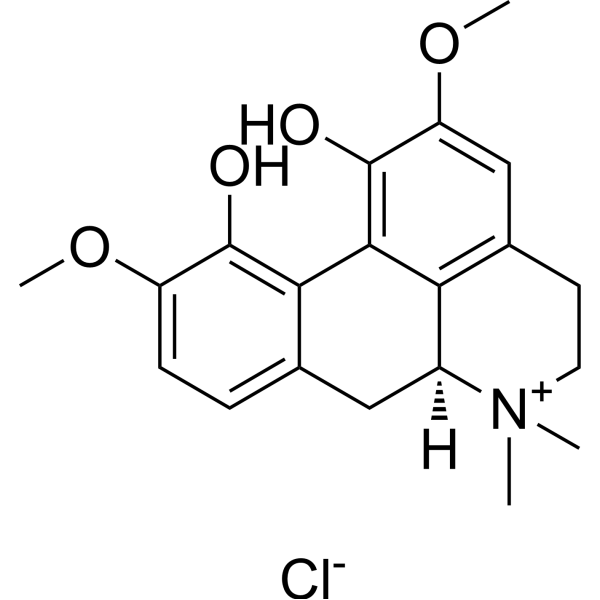 (+)-Magnoflorine chloride (Standard)
