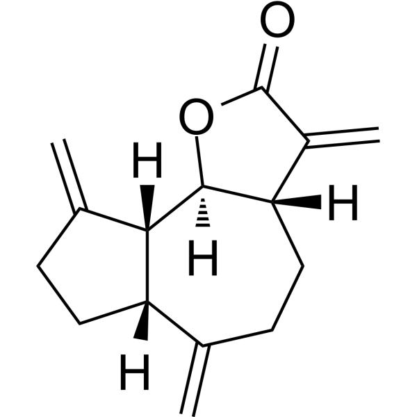 Dehydrocostus Lactone
