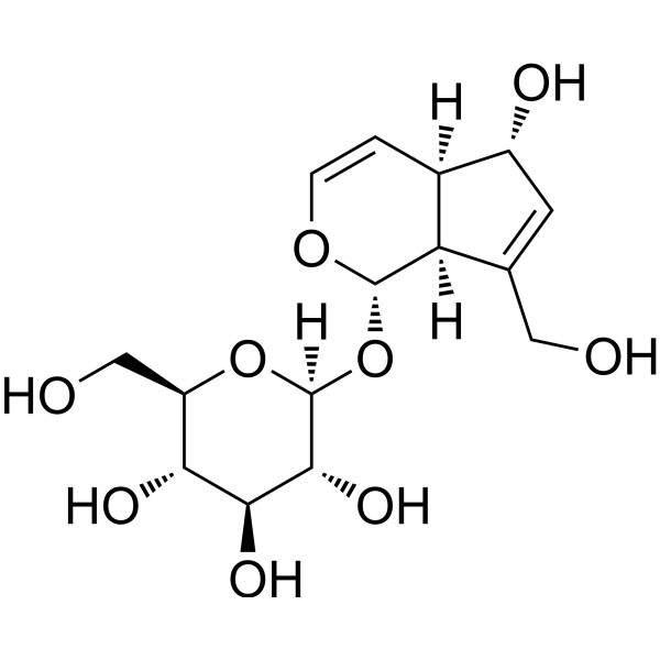 Aucubin (Standard)