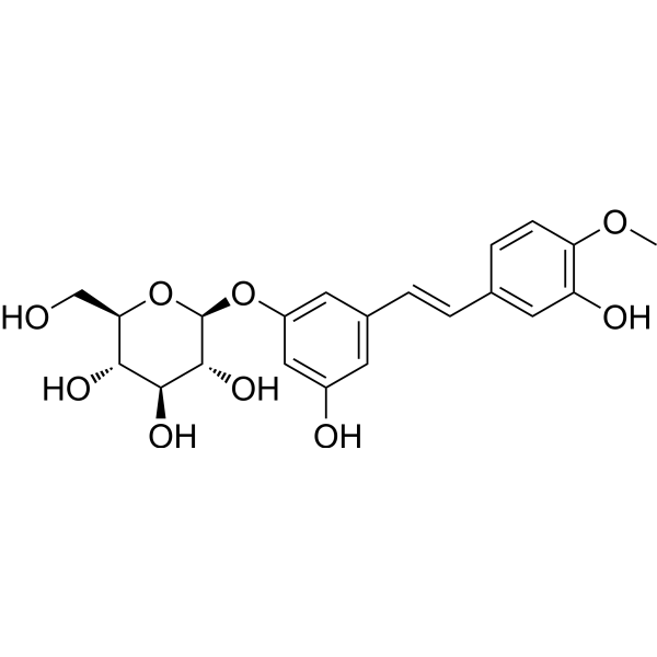Rhapontin (Standard)
