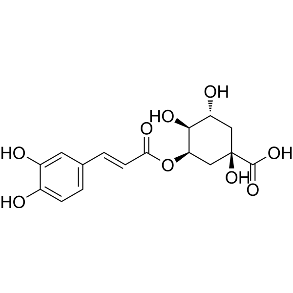 Neochlorogenic acid (Standard)
