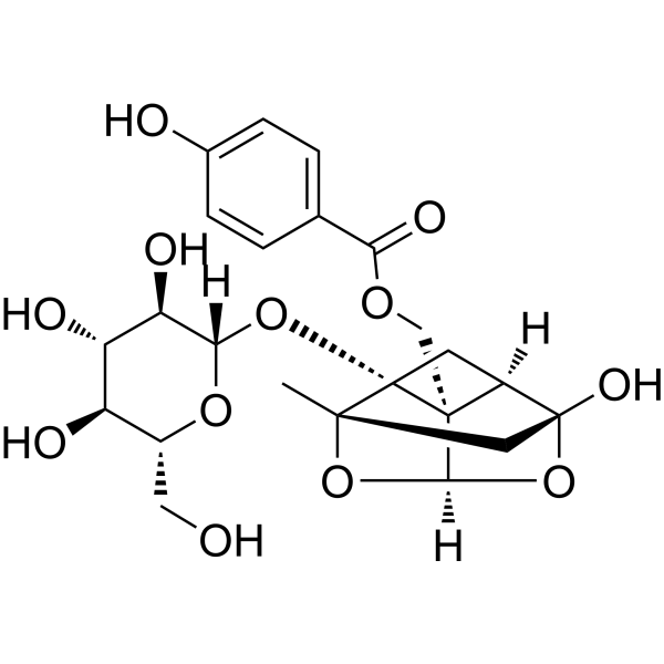 Oxypaeoniflorin