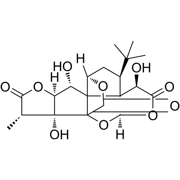 Ginkgolide B (Standard)