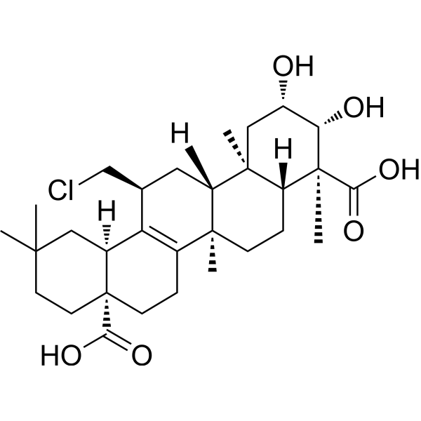 Tenuigenin (Standard)