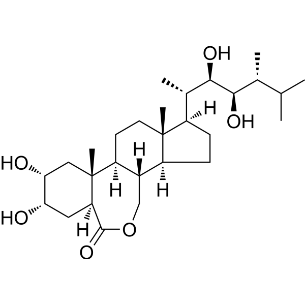Epibrassinolide (Standard)