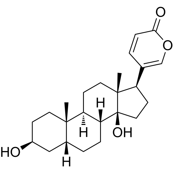 Bufalin (Standard)