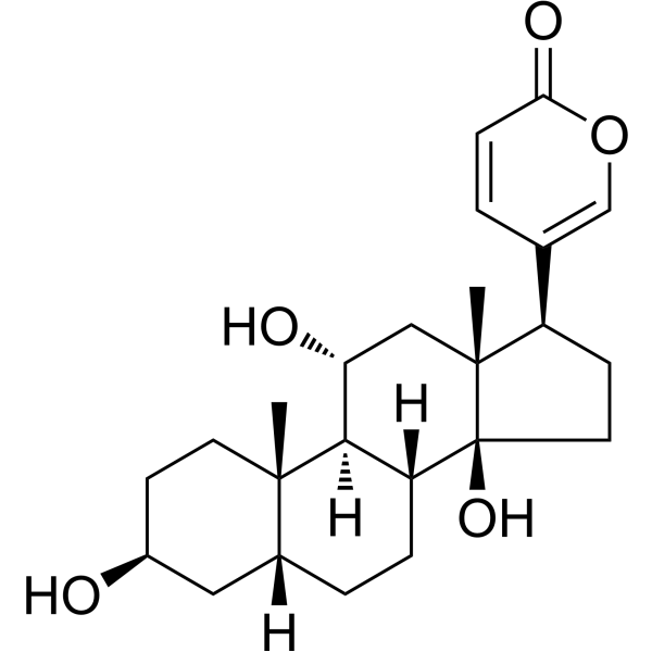 Gamabufotalin (Standard)