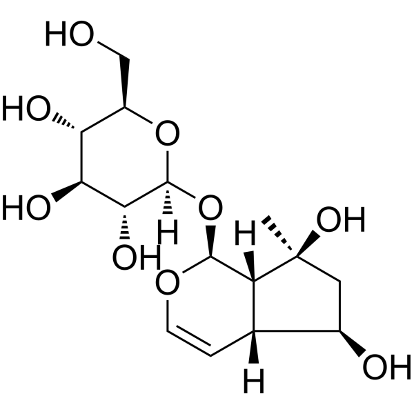 Ajugol (Standard)