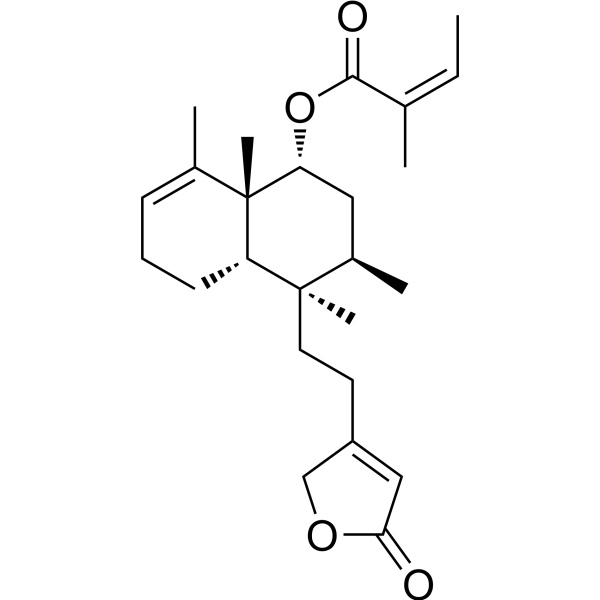 Solidagolactone II