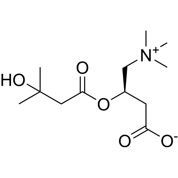 3-Hydroxyisovalerylcarnitine (Standard)