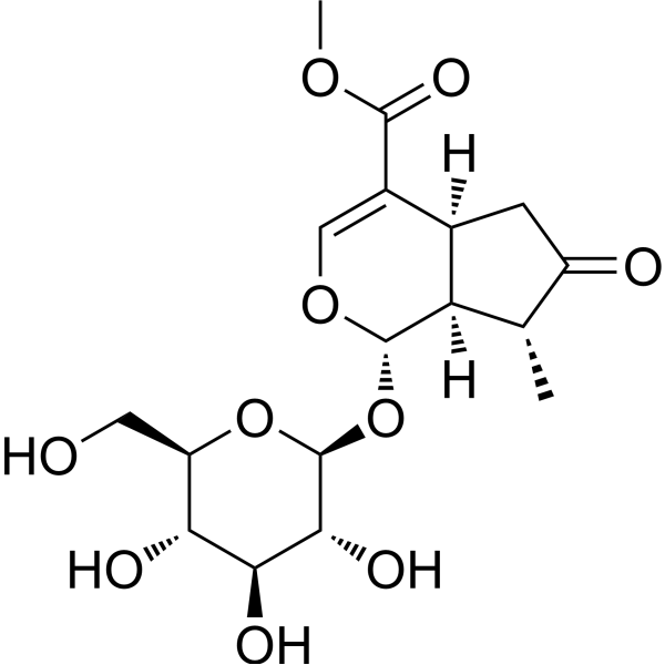7-Ketologanin