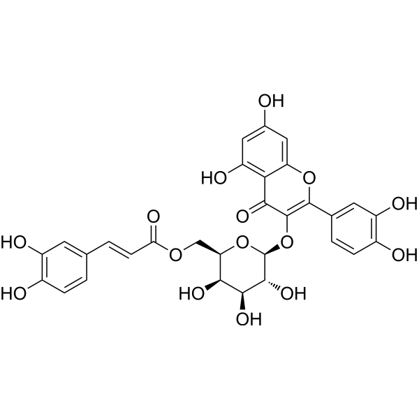 Quercetin-3-O-(6''-O-Ecaffeoyl)-β-D-galactopyranoside