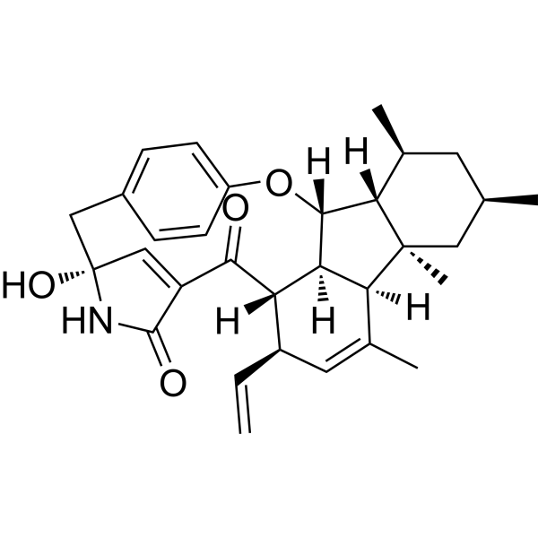 Pyrrocidine A
