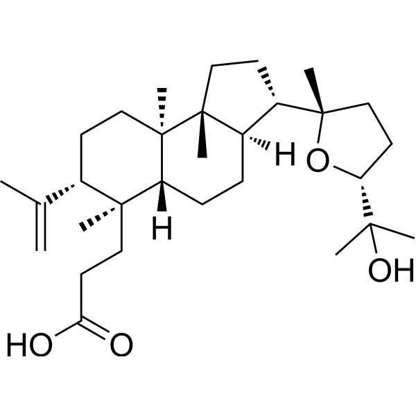 Shoreic acid