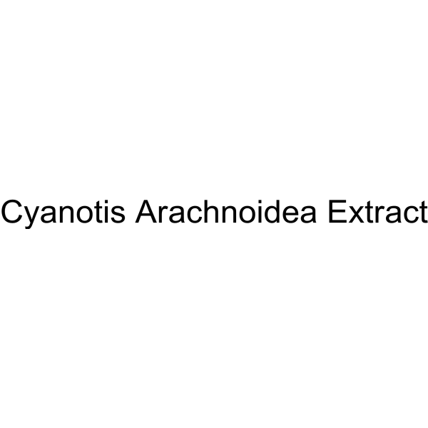 Cyanotis Arachnoidea Extract