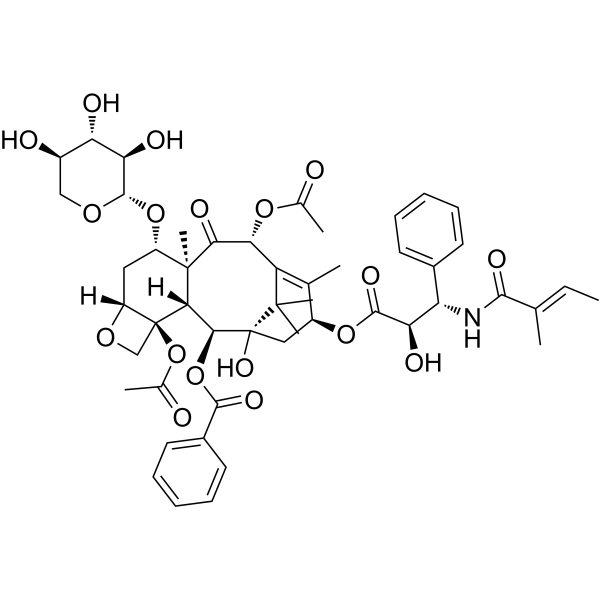 7-Xylosyltaxol B