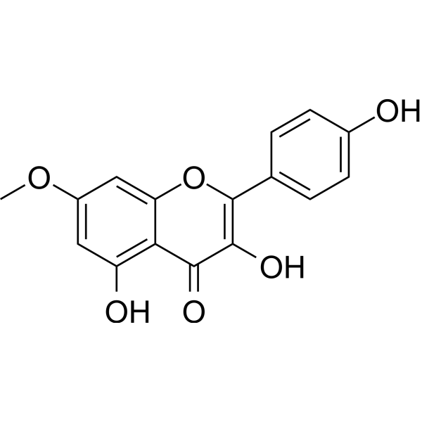 Rhamnocitrin