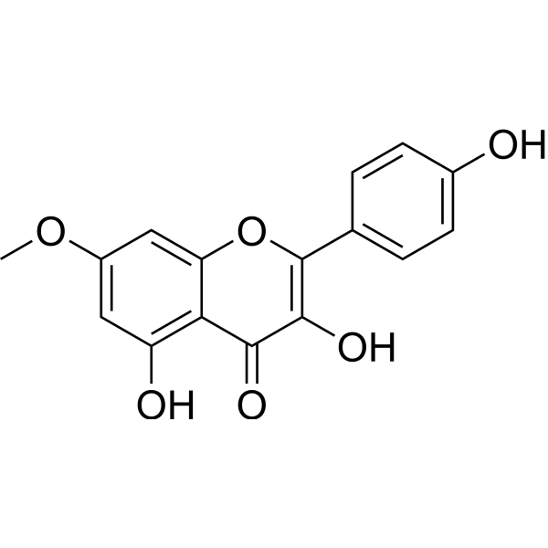Rhamnocitrin (Standard)