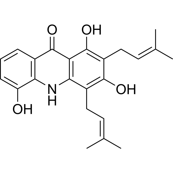 Atalaphylline