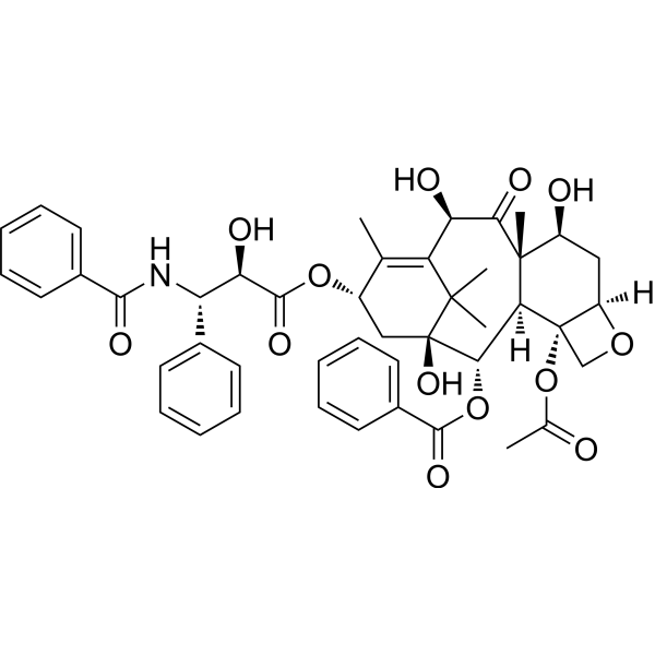 10-Deacetyltaxol (Standard)