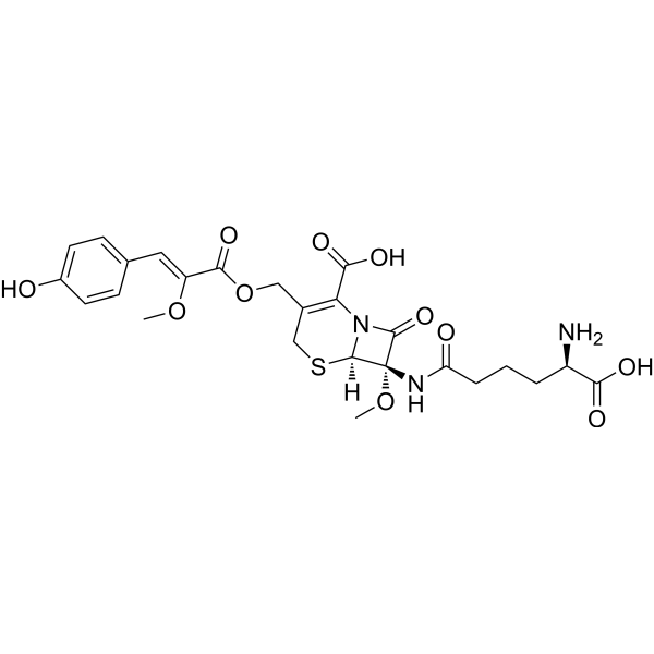 Cephamycin B