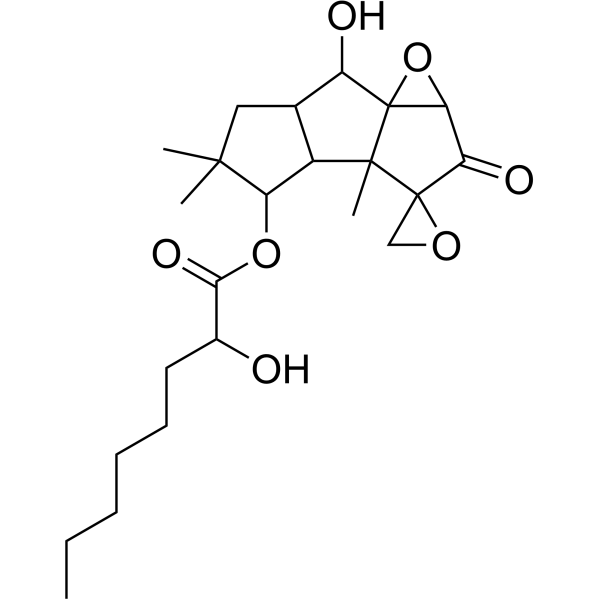 Coriolin C
