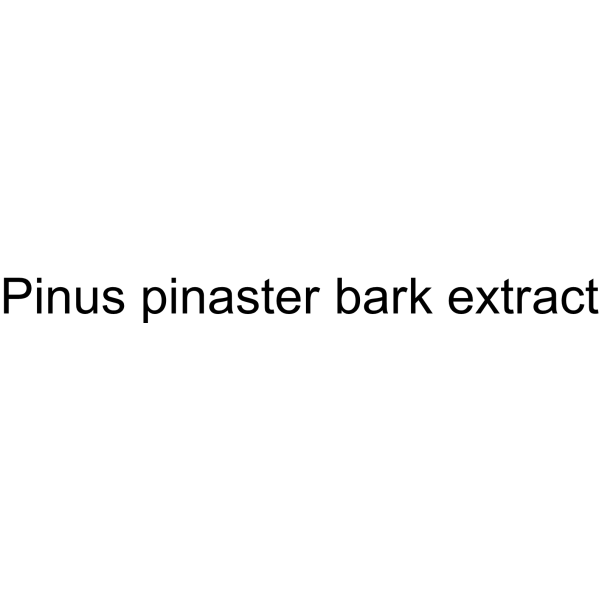 Pinus pinaster bark extract