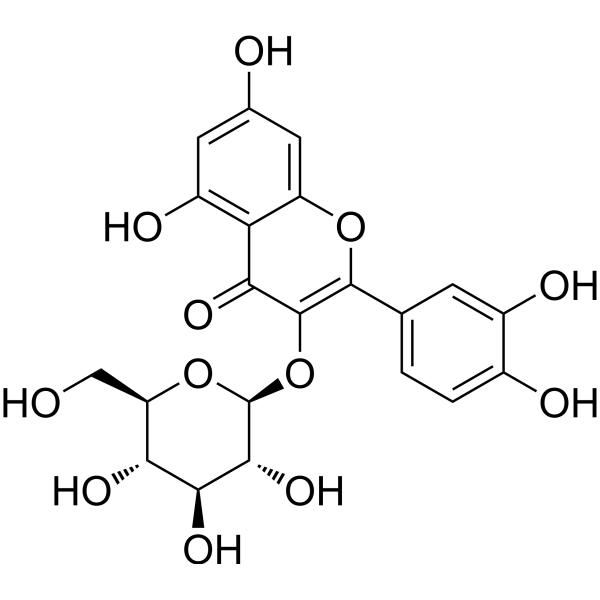 Isoquercitrin (Standard)