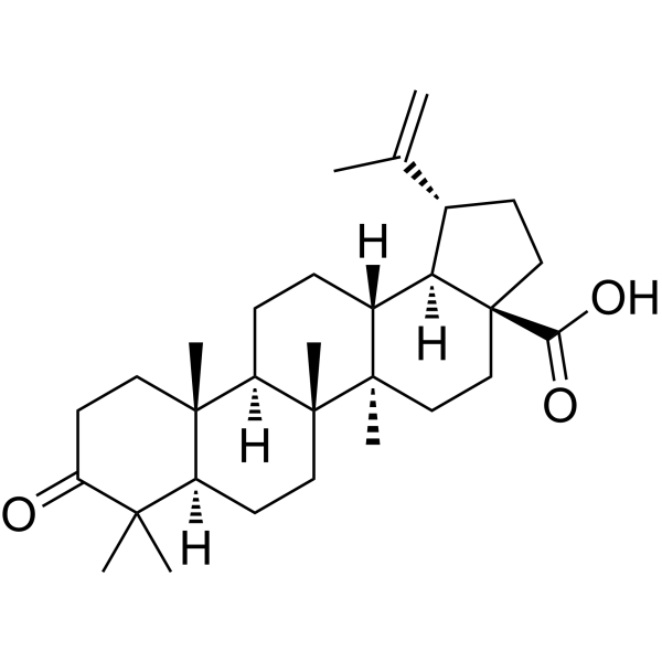 Betulonic acid