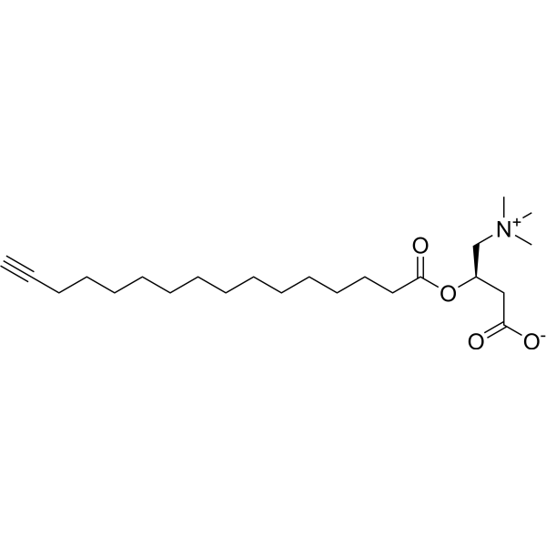 C16:0(Alkyne) L-carnitine