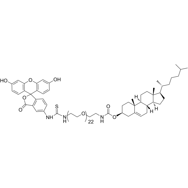 Chol-PEG1000 fluorescein