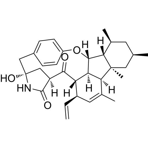 Pyrrocidine B