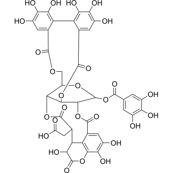 Chebulagic acid (Standard)