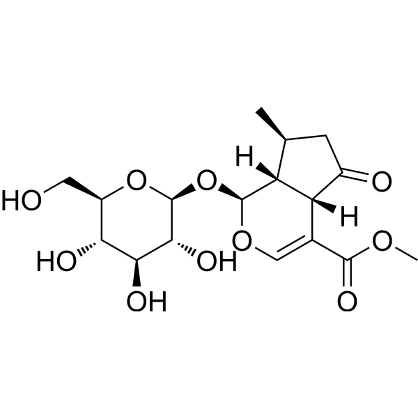 Verbenalin (Standard)