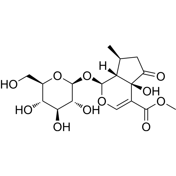 Hastatoside (Standard)