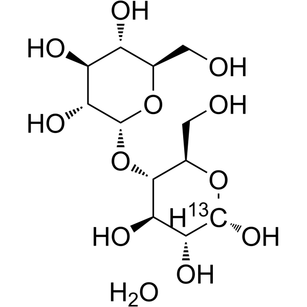 Maltose monohydrate-13C