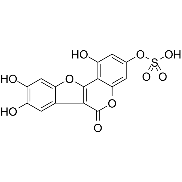 Demethylwedelolactone Sulfate