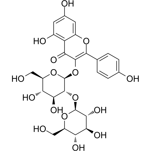 Kaempferol 3-O-sophoroside