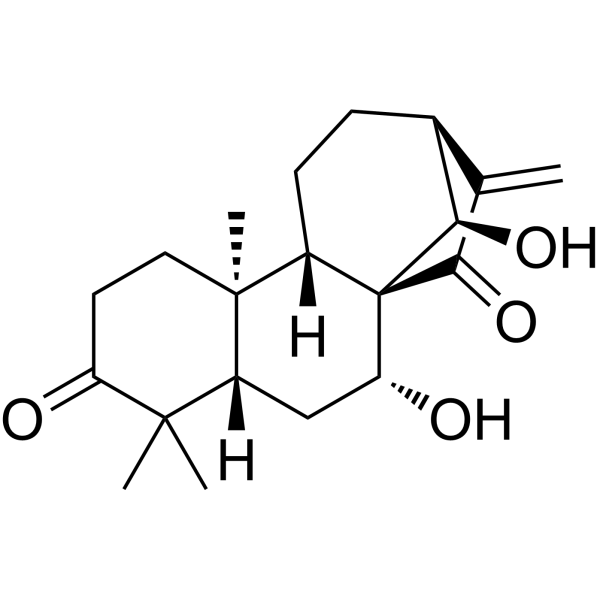 Glaucocalyxin A