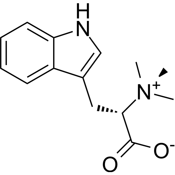 Hypaphorine