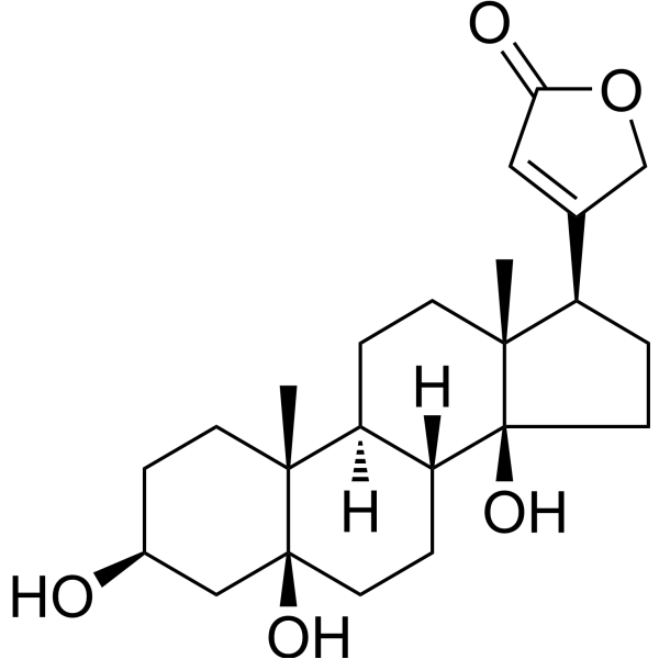 Periplogenin (Standard)