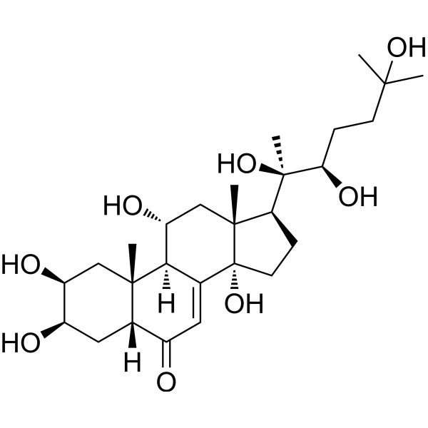 Turkesterone (Standard)