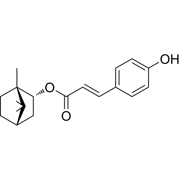 Biondinin C
