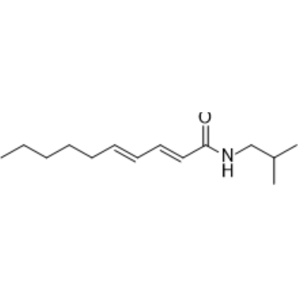 Pellitorine (Standard)