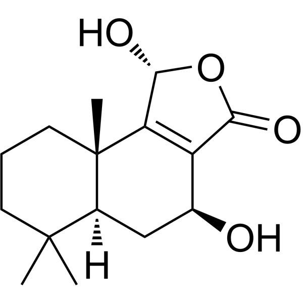 Fuegin