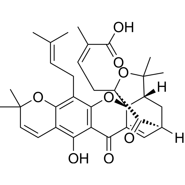 Morellic acid (Standard)