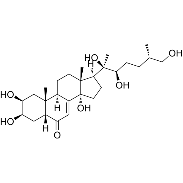 25S-Inokosterone
