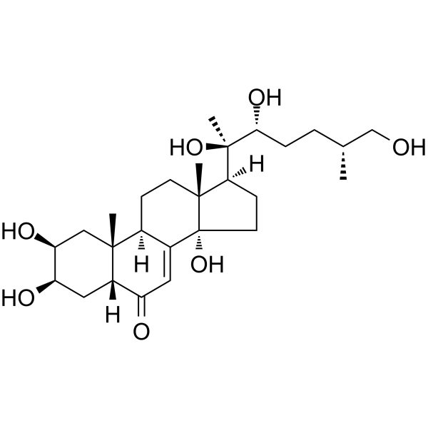 25R-Inokosterone