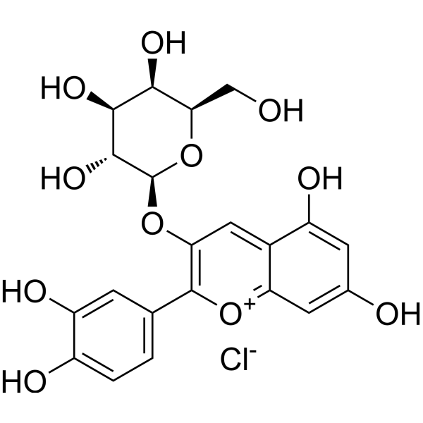 Cyanidin-3-O-galactoside chloride (Standard)