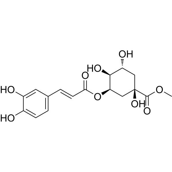 Neochlorogenic acid methyl ester